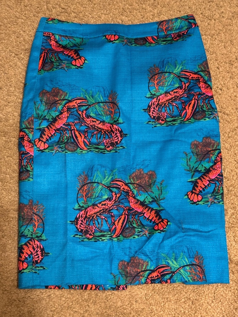 J. Crew Blue Dress with Coral Accent